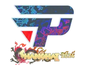 Sticker | paiN Gaming (Holo) | Shanghai 2024 image