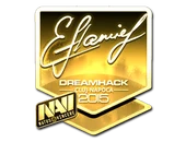 Sticker | flamie (Gold) | Cluj-Napoca 2015 image