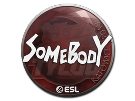 Sticker | somebody | Katowice 2019 image
