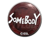 Sticker | somebody | Katowice 2019 image