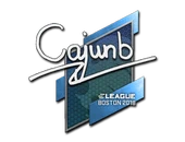 Sticker | cajunb | Boston 2018 image