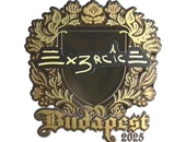 Sticker | Ex3rcice (Gold) | Budapest 2025 image