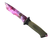 ★ Ursus Knife | Doppler Phase 2 image