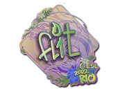 Sticker | FL1T (Holo) | Rio 2022 image