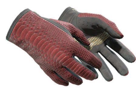 ★ Driver Gloves | Dragon Fists image