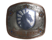 Sticker | Team Liquid (Foil) | Austin 2025 image