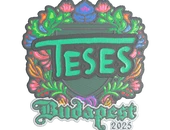 Sticker | TeSeS (Embroidered) | Budapest 2025 image