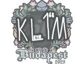 Sticker | kl1m | Budapest 2025 image