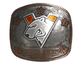 Sticker | Virtus.Pro (Foil) | Austin 2025 image