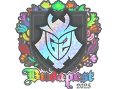 Sticker | G2 esports (Holo) | Budapest 2025 image