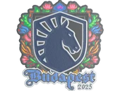 Sticker | Team Liquid (Embroidered) | Budapest 2025 image
