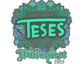 Sticker | TeSeS | Budapest 2025 image