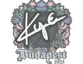 Sticker | kye | Budapest 2025 image
