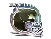 Sticker | FURIA (Foil) | 2020 RMR image