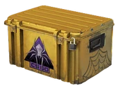 Shattered Web Case image