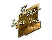 Sticker | flusha (Gold) | Boston 2018 image