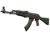 AK-47 | First Class image