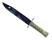 ★ Bayonet | Doppler Black Pearl image