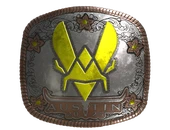 Sticker | Vitality (Foil) | Austin 2025 image