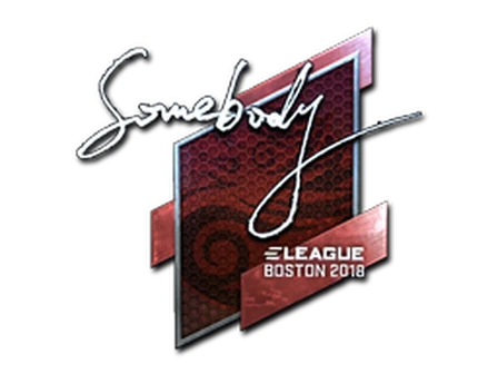 Sticker | somebody (Foil) | Boston 2018 image