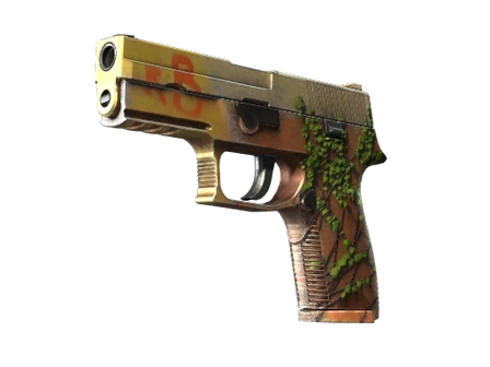 P250 | Inferno image