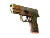 P250 | Inferno image