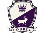 The Cobblestone Collection image