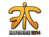 Sticker | Fnatic (Holo) | Katowice 2014 image