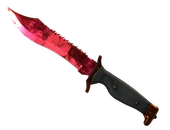 ★ Bowie Knife | Doppler Ruby image