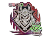 Sticker | G2 (Holo) | 2020 RMR image