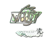 Sticker | WOOD7 (Holo) | Antwerp 2022 image