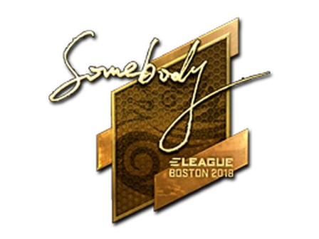 Sticker | somebody (Gold) | Boston 2018 image