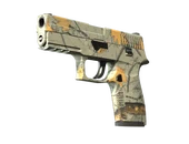 P250 | Modern Hunter image
