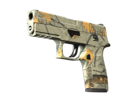P250 | Modern Hunter image