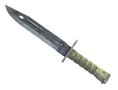 ★ Bayonet | Stained image