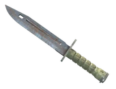 ★ Bayonet | Rust Coat image