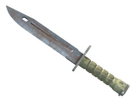 ★ Bayonet | Rust Coat image