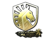 Sticker | Team Liquid (Gold) | Antwerp 2022 image