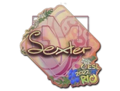 Sticker | dexter (Holo) | Rio 2022 image