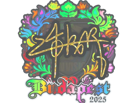 Sticker | z4KR (Holo) | Budapest 2025 image
