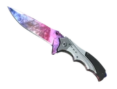 ★ Nomad Knife | Doppler Phase 1 image
