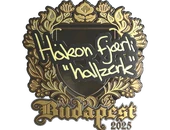 Sticker | hallzerk (Gold) | Budapest 2025 image