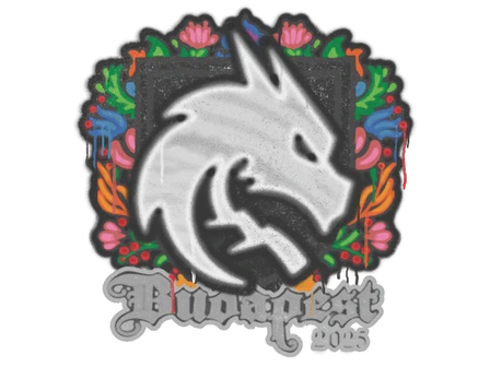 Sealed Graffiti | Team Spirit | Budapest 2025 image