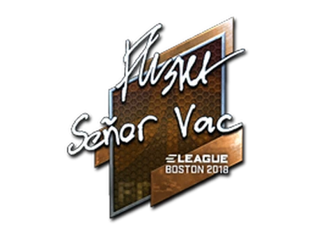 Sticker | flusha (Foil) | Boston 2018 image