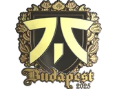 Sticker | fnatic (Gold) | Budapest 2025 image