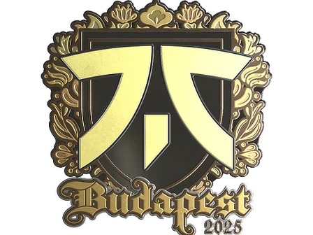 Sticker | fnatic (Gold) | Budapest 2025 image