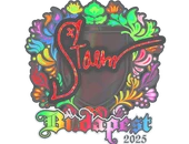 Sticker | Staehr (Holo) | Budapest 2025 image