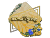 Sticker | sdy | Rio 2022 image