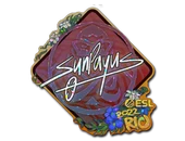 Sticker | SunPayus (Glitter) | Rio 2022 image