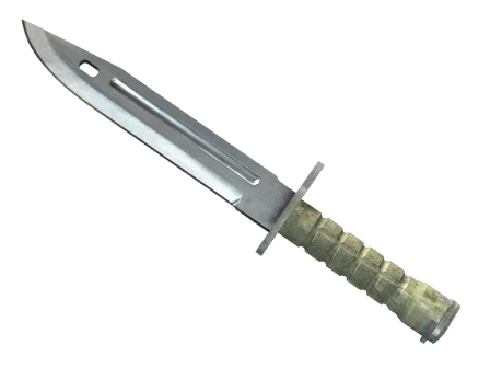★ Bayonet image